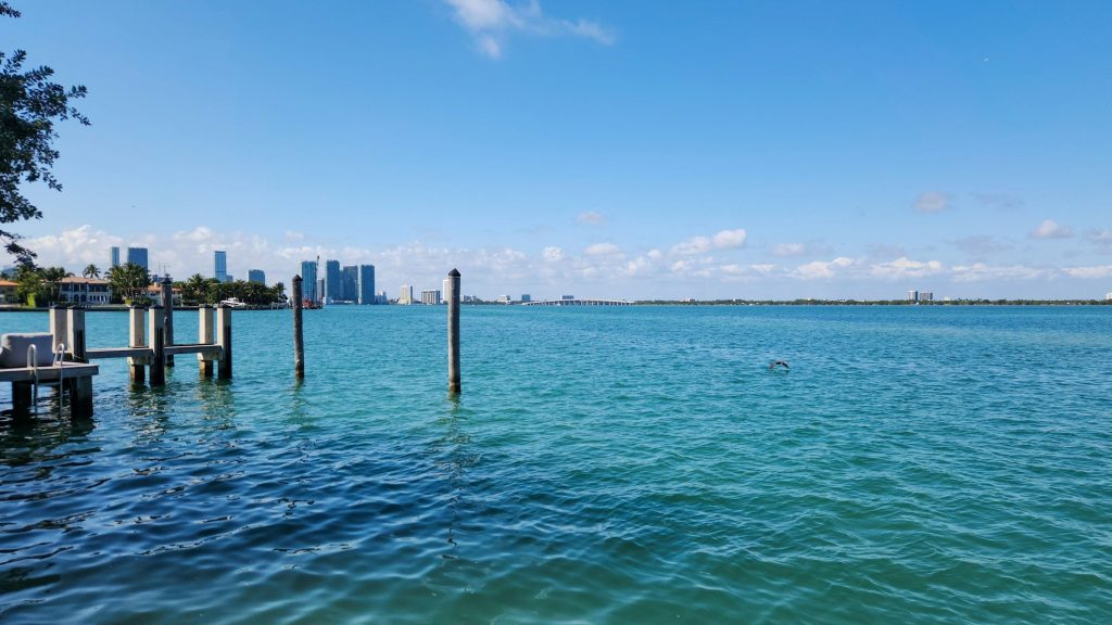 Old pilings in a wide bay, the city small and far off