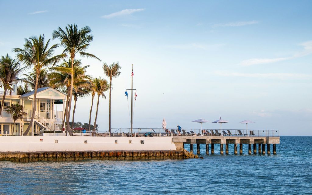A pier and a clubhouse under royal palms