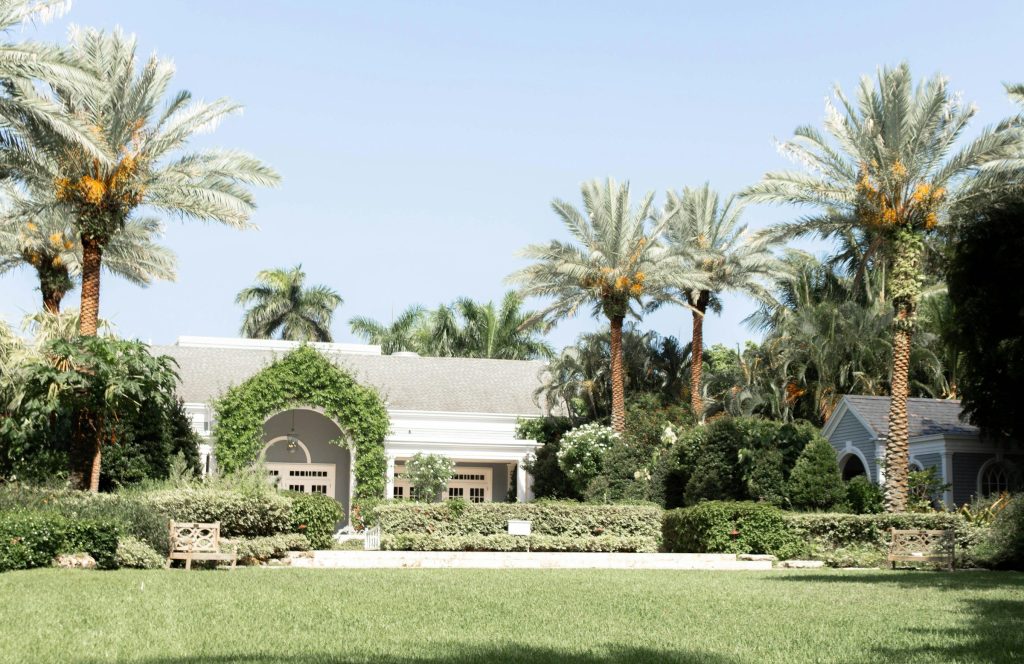 A low white house behind a clipped hedge and royal palms
