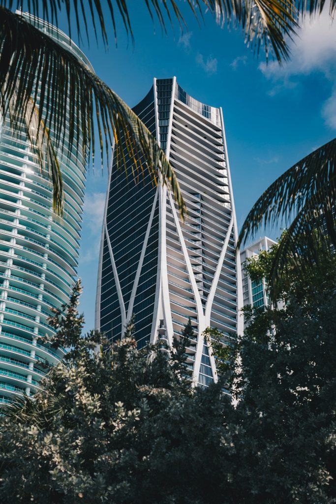 Residential towers through palm fronds