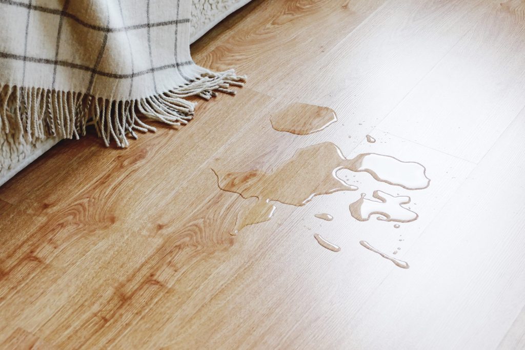 Clear water spreading across a wood floor beside the fringe of a rug